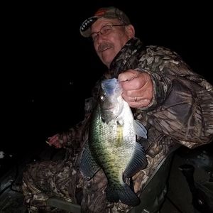 Meet your Posher, Don